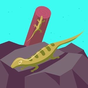 Meet your Posher, Alli